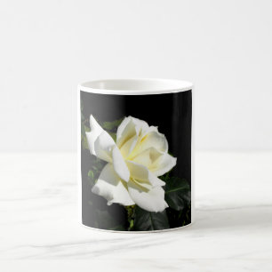 Pascali white hybrid tea rose coffee mug