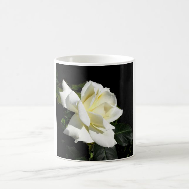 Pascali white hybrid tea rose coffee mug (Center)