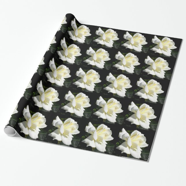 Pascali white rose wrapping paper (Unrolled)