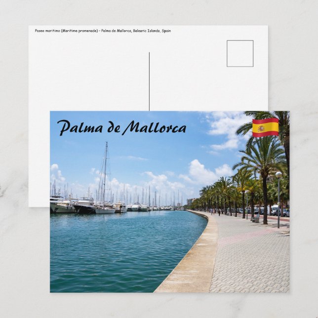 Paseo maritimo - Palma de Mallorca, Spain Postcard (Front/Back)