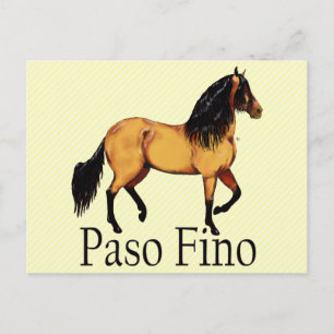 Paso Horse Buckskin Paso Fino Postcard
