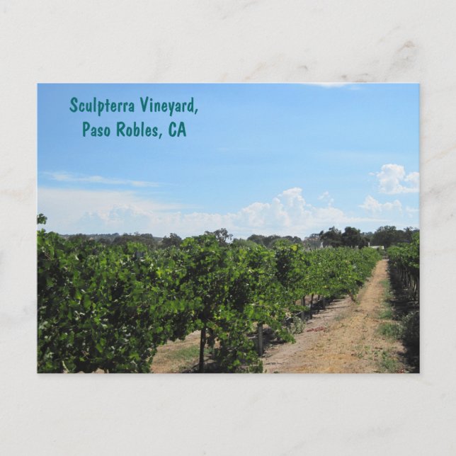 Paso Robles, California, Wine Country Postcard (Front)