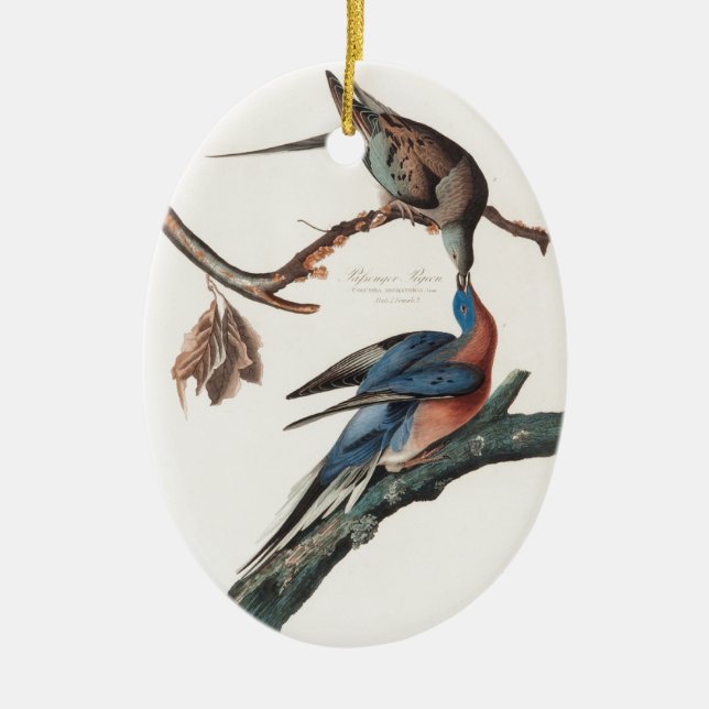 Passenger Pigeon (1838) John J. Audubon Ceramic Tree Decoration (Front)