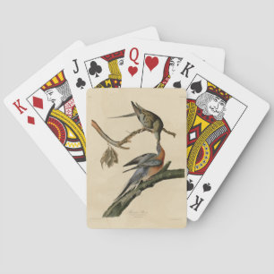 Passenger Pigeon from Audubon's Birds of America Playing Cards