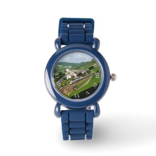 passenger train in Hatzenport Watch