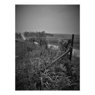 "Passersby" Photo Print