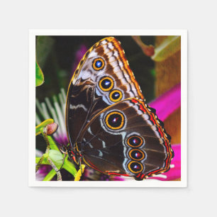 Passiflora VIOLACEA and a Blue morpho butterfly Napkin