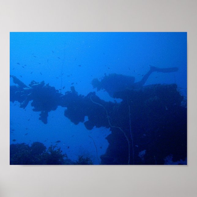 Passing Diver Poster (Front)