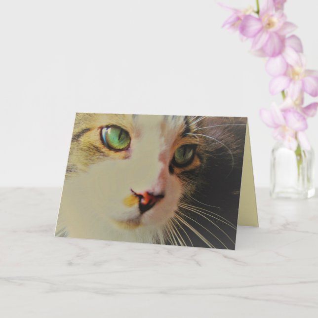 Passing Glance Cat with Green Eyes Card (Orchid)