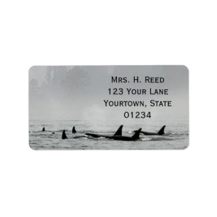 Passing Whales Return Address Label