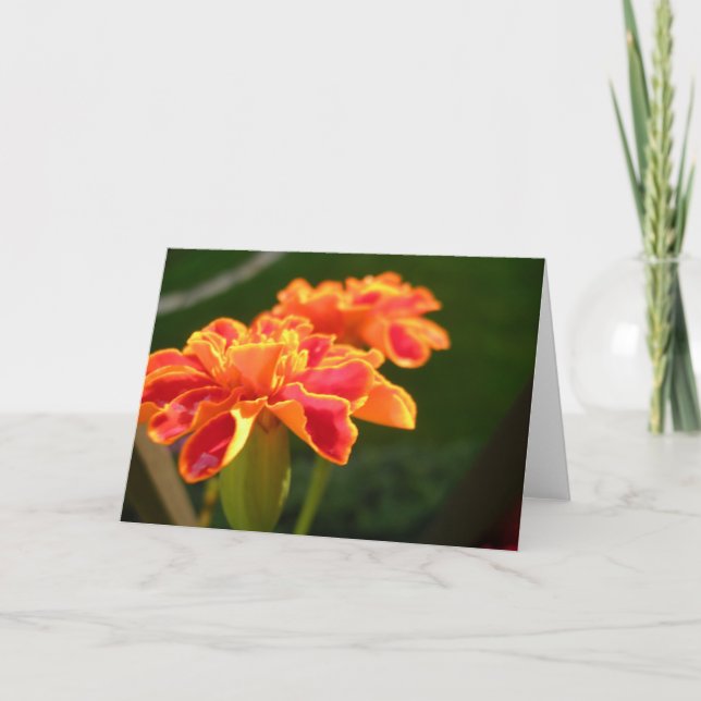 Passion Card (Front)