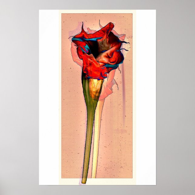 Passion Flower #1 Poster (Front)