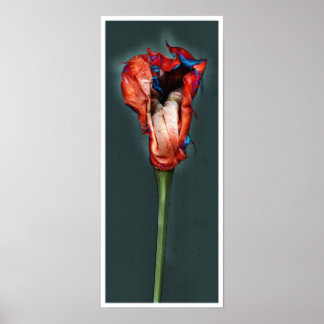 Passion Flower #5 Poster