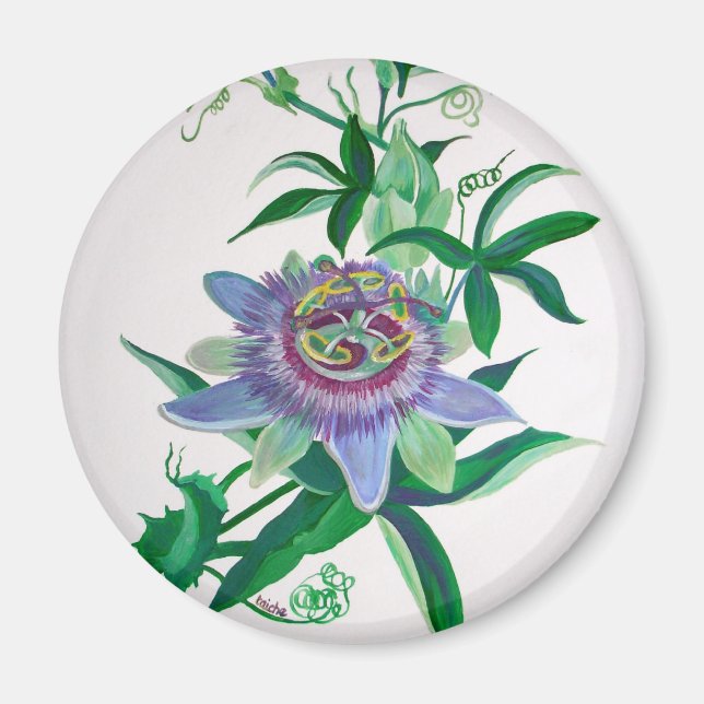 Passion Flower Botanical Art Magnet (Front)