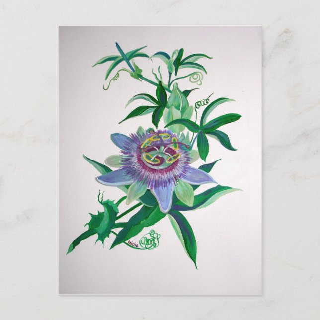 Passion Flower Botanical Art Postcard (Front)
