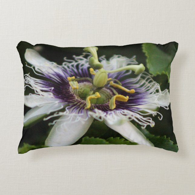 Passion Flower Closeup 3 Decorative Cushion (Front)