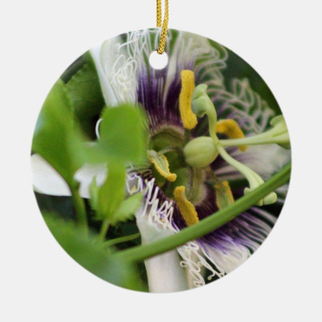 Passion Flower Closeup Ceramic Tree Decoration (Front)