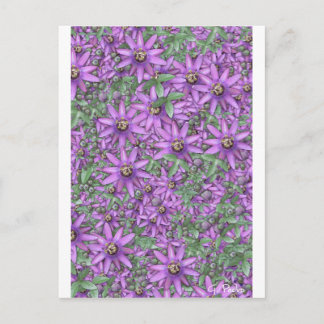 Passion Flower Explosion Postcard