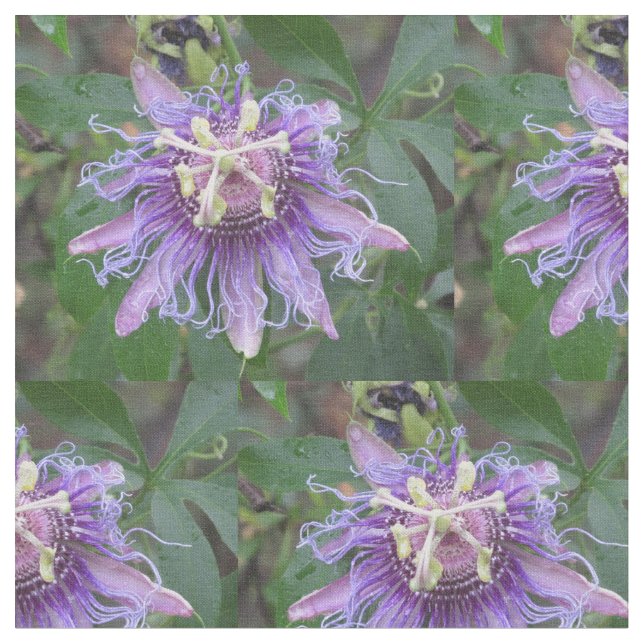 Passion Flower Fabric (Close Up)