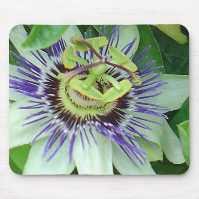 Passion Flower Mouse Mat (Front)