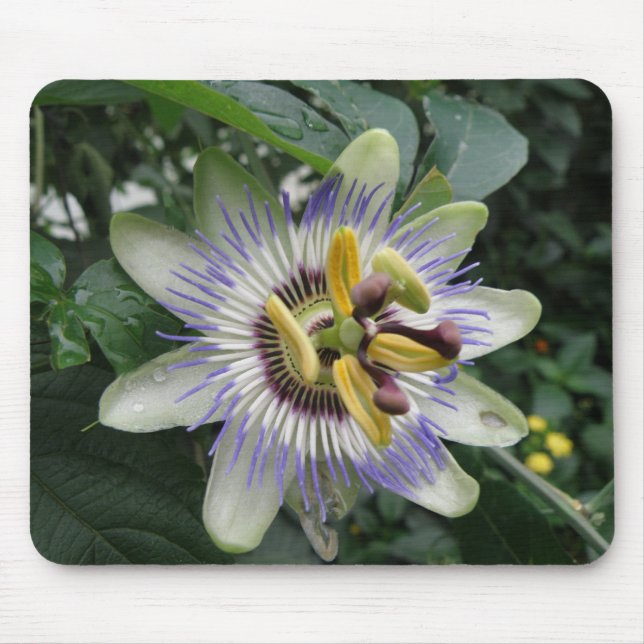 Passion Flower Mousepad (Front)