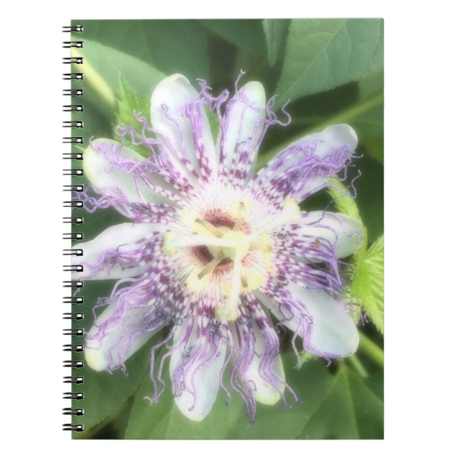 Passion Flower Notebook (Front)