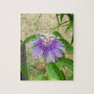 Passion Flower Puzzle