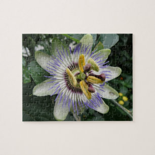 Passion Flower Puzzle