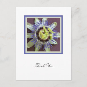 Passion Flower Sympathy Thank You Postcard