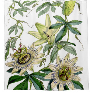 Passion Flower Vintage Print Shower Curtain