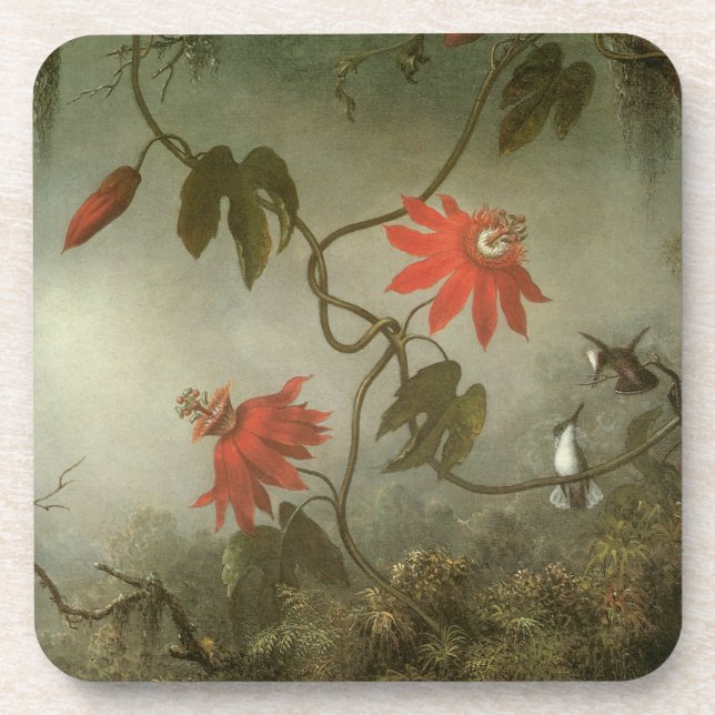 Passion Flowers and Hummingbirds by Martin J Heade Coaster (Front)