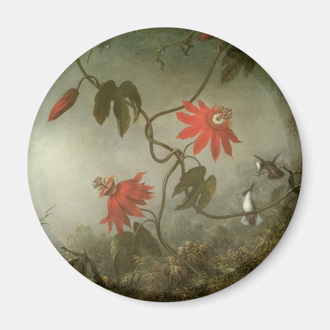 Passion Flowers and Hummingbirds by Martin J Heade Magnet (Front)
