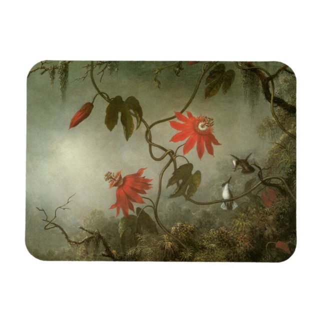 Passion Flowers and Hummingbirds by Martin J Heade Magnet (Horizontal)