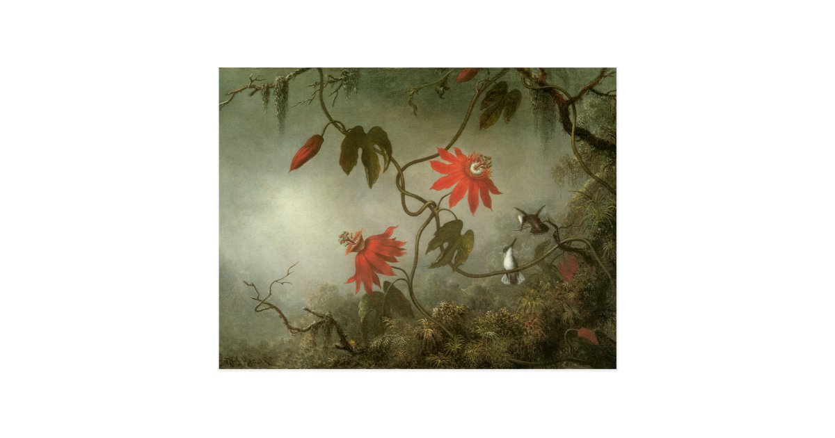 Passion Flowers With Three Hummingbirds Analysis