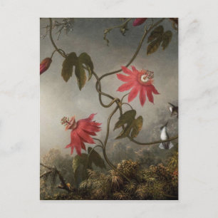 Passion Flowers with Hummingbirds by Martin Johnso Postcard