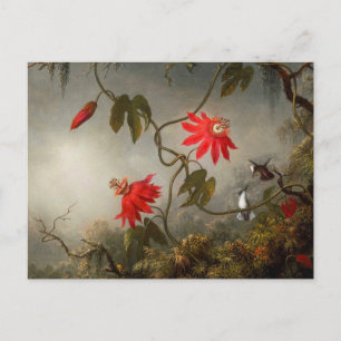 Passion Flowers with Hummingbirds Heade Postcard