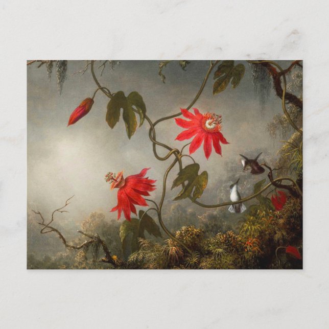 Passion Flowers with Hummingbirds Heade Postcard (Front)