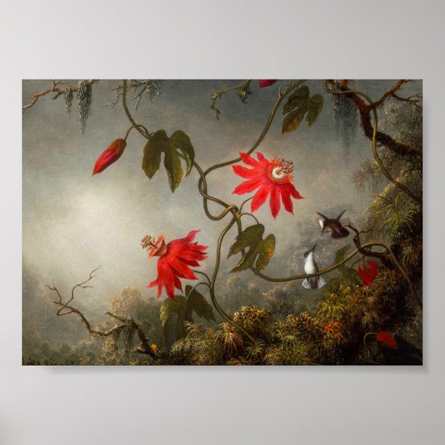 Passion Flowers with Hummingbirds Heade Poster (Front)