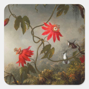 Passion Flowers with Hummingbirds Heade Square Sticker