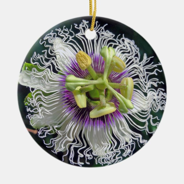 Passion Fruit Blossom Ceramic Tree Decoration (Front)