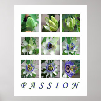 PASSION POSTER