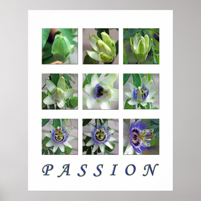 PASSION POSTER (Front)