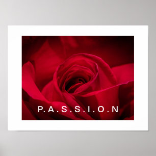 Passion Red Rose Poster