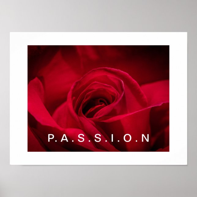 Passion Red Rose Poster (Front)