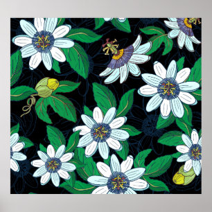 Passionflower Black Background Floral Seamless Poster