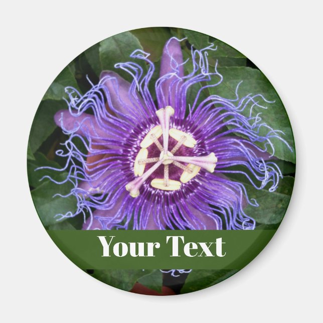 PassionFlower Button With Name Magnet (Front)