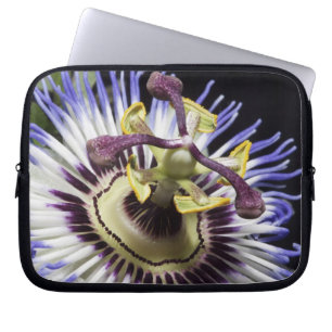 Passionflower close-up (MR) Laptop Sleeve