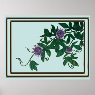 Passionflower Vine Print, Poster (Semi-Gloss)