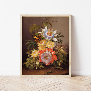 Passionflowers Ferdinand Bauer Poster