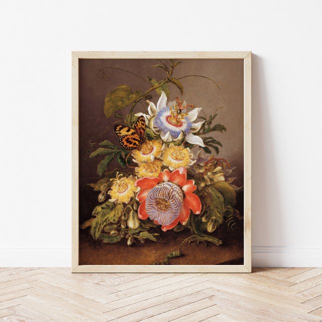 Passionflowers | Ferdinand Bauer Poster (Creator Uploaded)